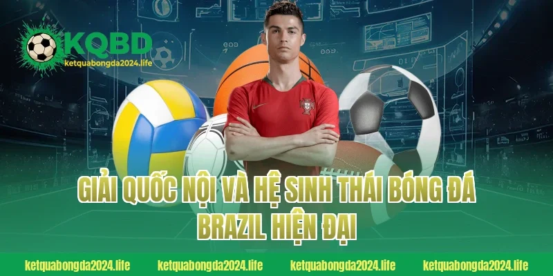 Giải quốc nội và hệ sinh thái bóng đá Brazil hiện đại